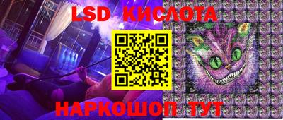 шишки Заводоуковск