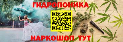 СК Заволжье